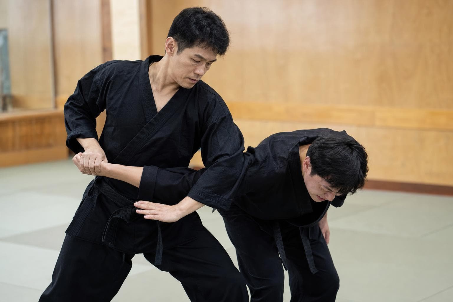 Hapkido Migukyongkwan — The Way of Coordinated Power